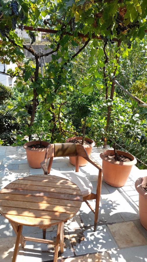 Camping Late Gjirokastër Extérieur photo