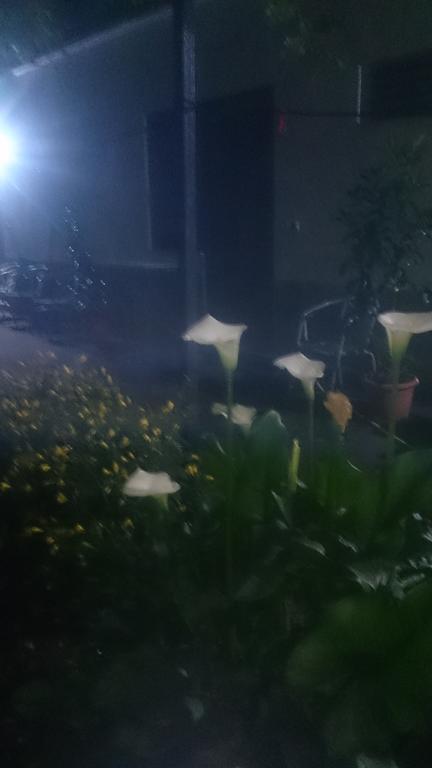 Camping Late Gjirokastër Extérieur photo