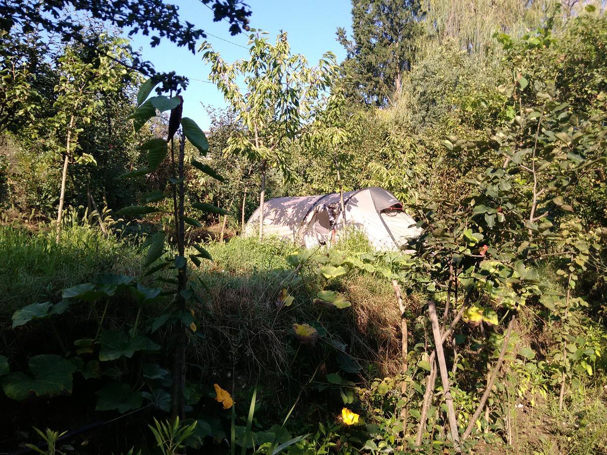 Camping Late Gjirokastër Extérieur photo